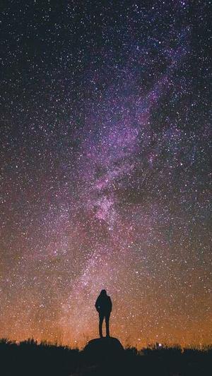 百度蜘蛛池排行榜第几截图3