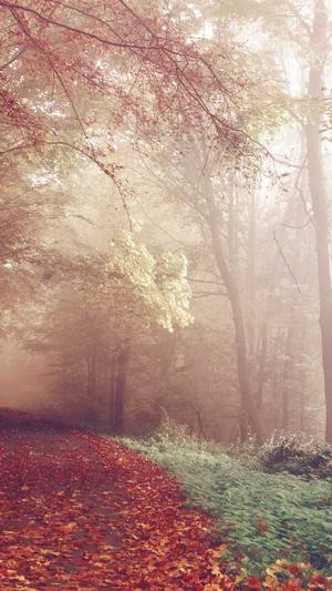 网站的建设截图2