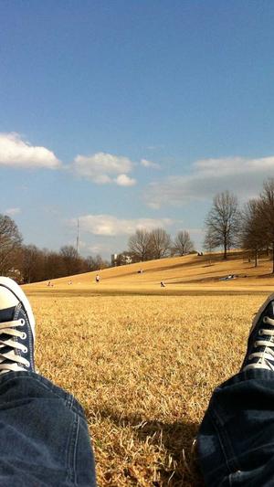 网站建设工作室截图3