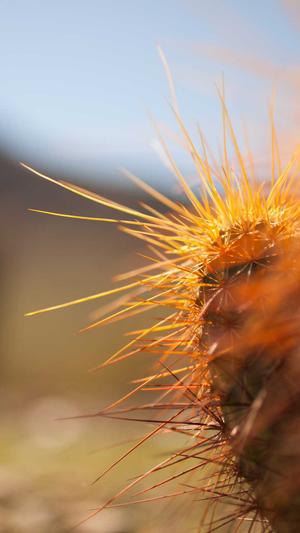 免费seo网站截图2