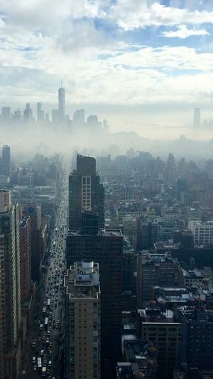 seo采集工具截图1