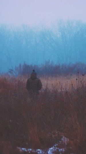 百度蜘蛛池排行榜第几截图4