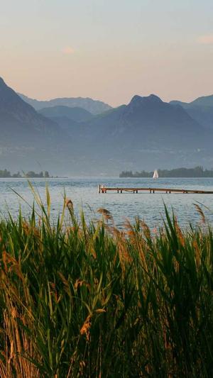 山东蜘蛛池租用平台截图2