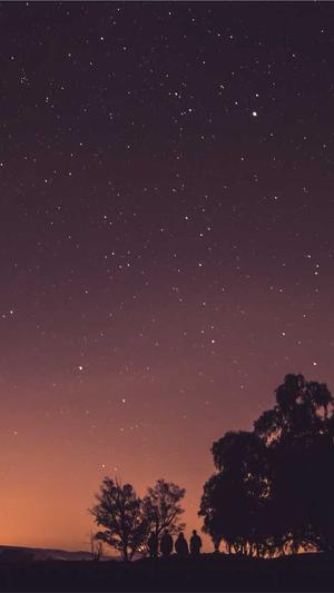 seo排名工具茄尉enuo6688截图3