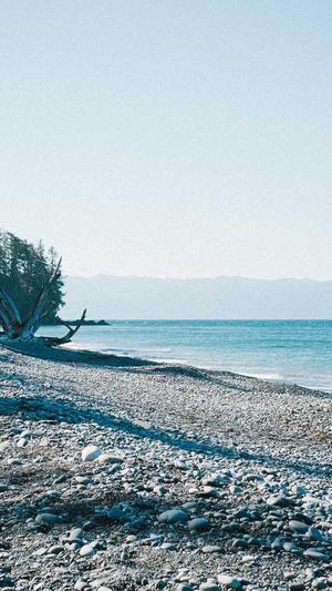 泛目录站群后台文件截图5