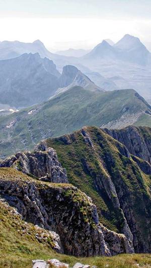 蜘蛛池github截图5