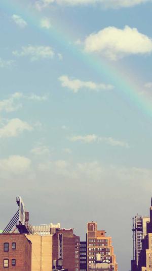 蜘蛛池的蜘蛛怎么用截图2