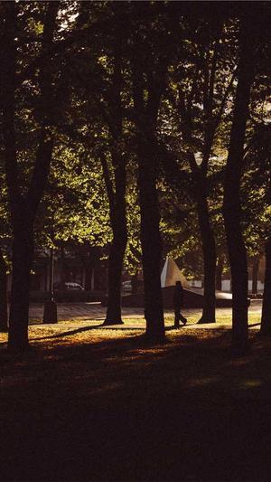 seo泛目录使用教程截图1