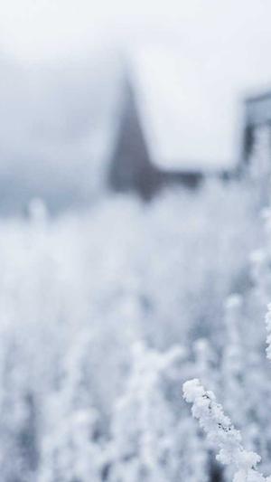 龙华网站建设截图2