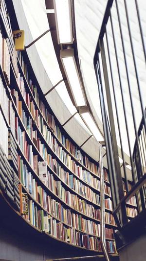 seo网站优化软件截图1