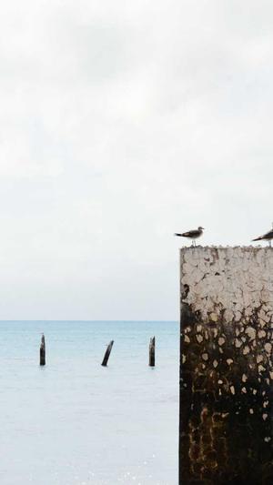 江苏360蜘蛛池出租截图2