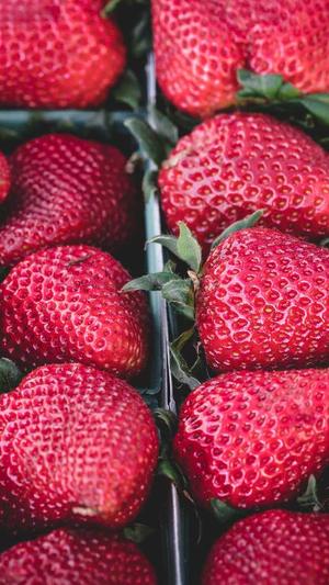 泛目录怎么做百度推广截图4