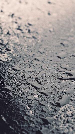 蜘蛛矿池转账手续费截图3