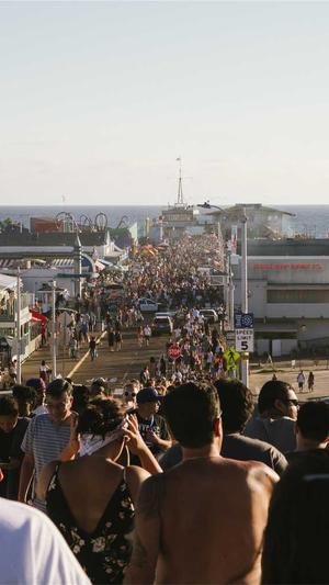 手机seo排名工具 site截图2