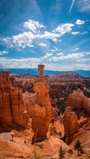 蜘蛛池直接上词截图2