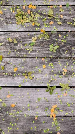 南京市网站建设截图3