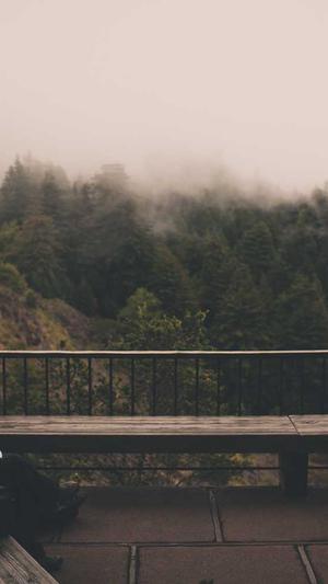 海口seo优化截图2