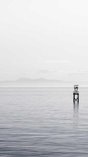 淮安网站建设截图5