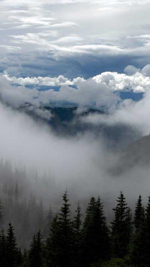 seo站长工具哪个更好截图1