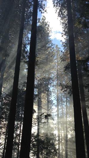 seo排名优化工具截图2