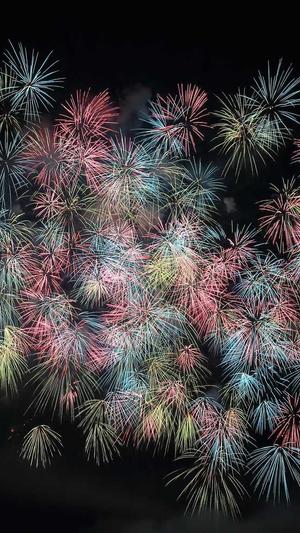 蜘蛛池会被k吗截图5