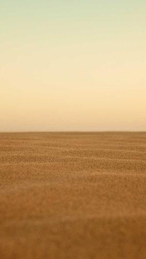 seo黑帽工具截图3