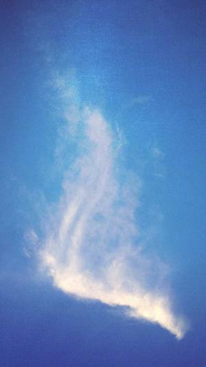 网站建设哪家好截图1