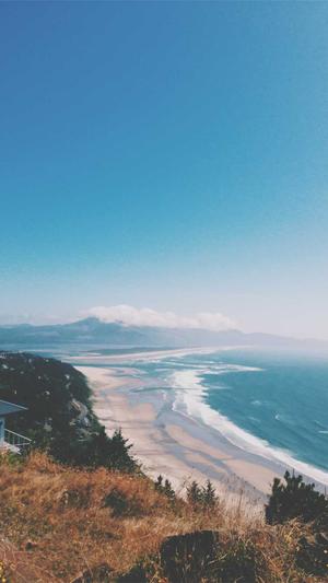 网站建设文章截图1