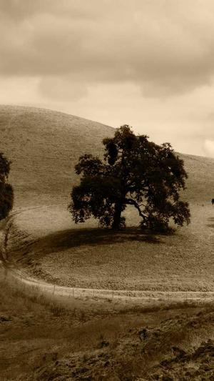 seo站内优化截图1